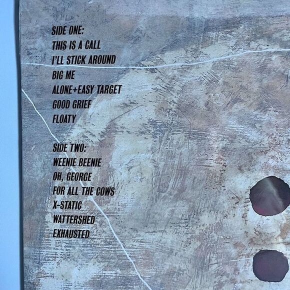 Foo Fighters - Foo Fighters - Mint Colored Double Vinyl 30th Ann Edition NEW - Picture 4 of 5